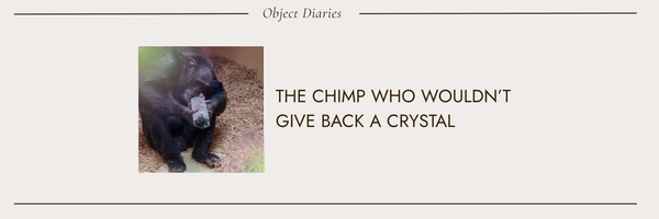 The Chimp Who Wouldn't Give Back a Crystal